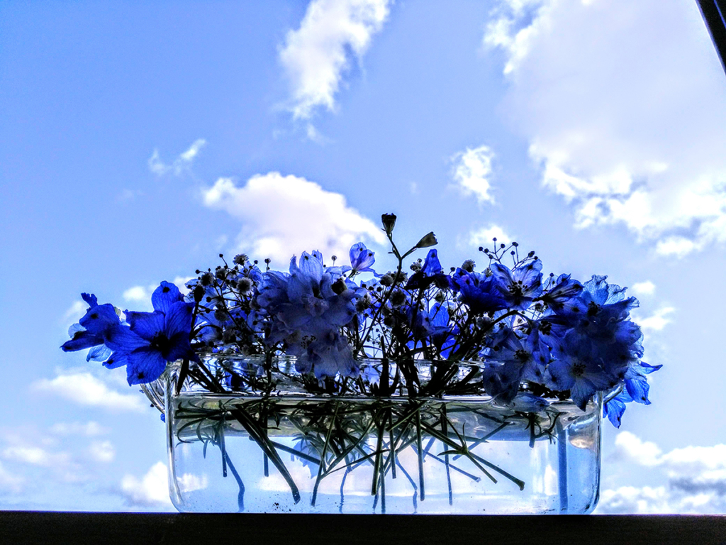 空と青い花